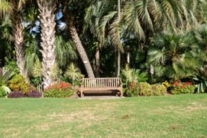 home yard