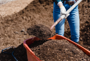 soil
