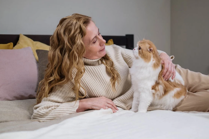 pet